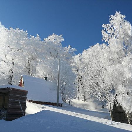 Mountain Village Žabljak Buitenkant foto