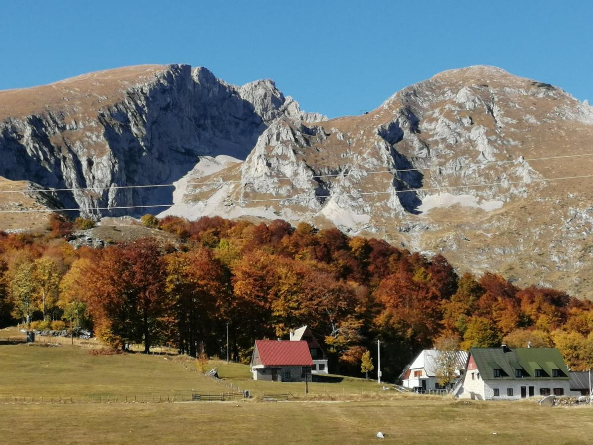 Mountain Village Žabljak Buitenkant foto