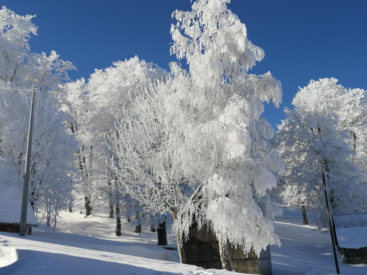 Mountain Village Žabljak Buitenkant foto